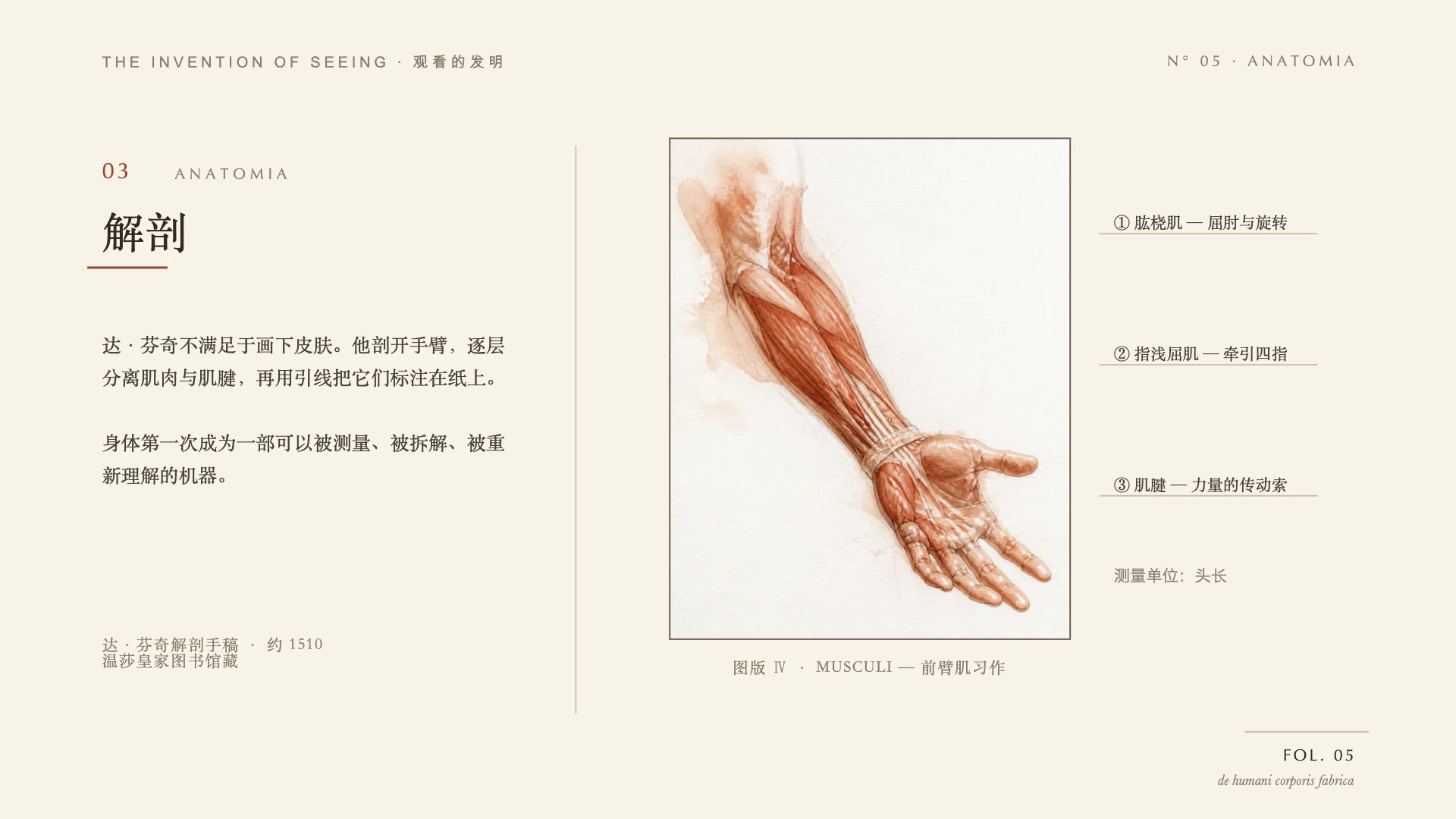 The Invention of Seeing, slide 5