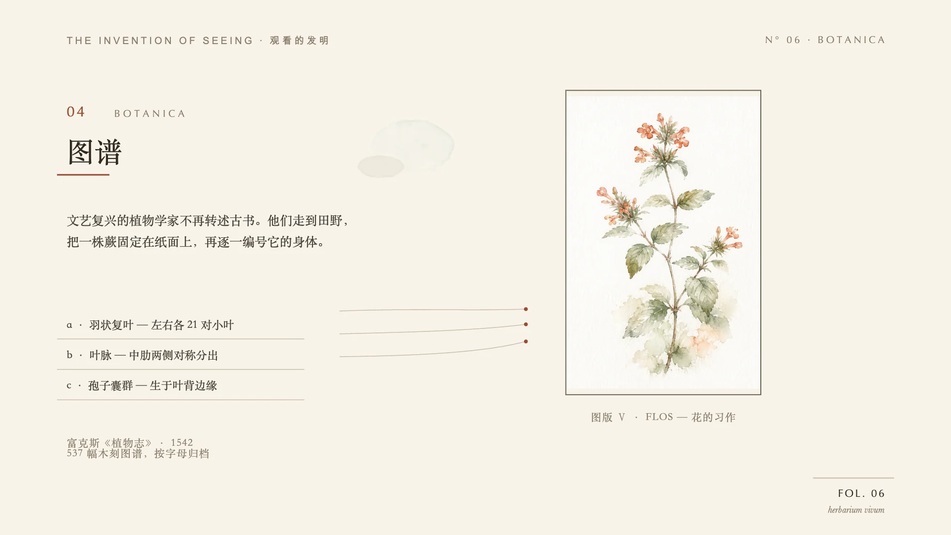 The Invention of Seeing, slide 6